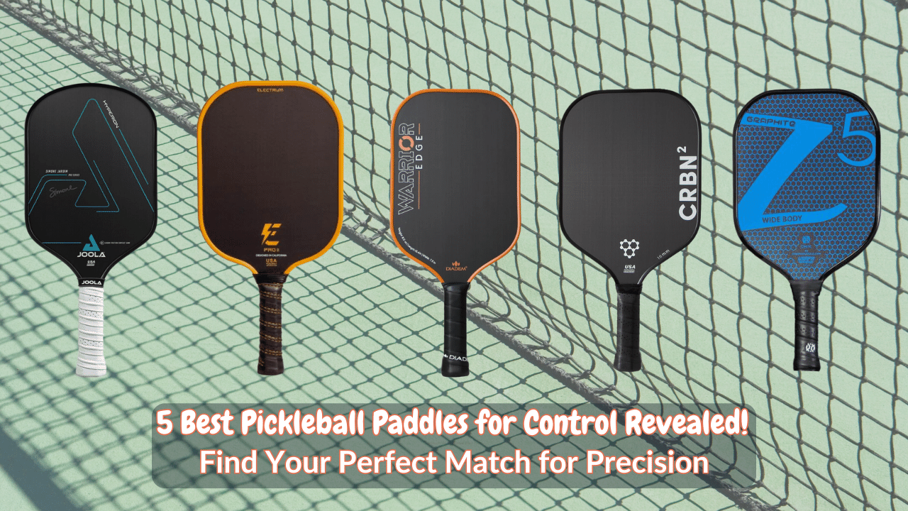 Best Pickleball Paddles For Control 2024